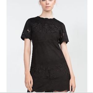 Zara Suede and Lace Black Mini Dress